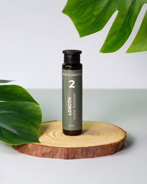 Fortalecimento | Booster 02